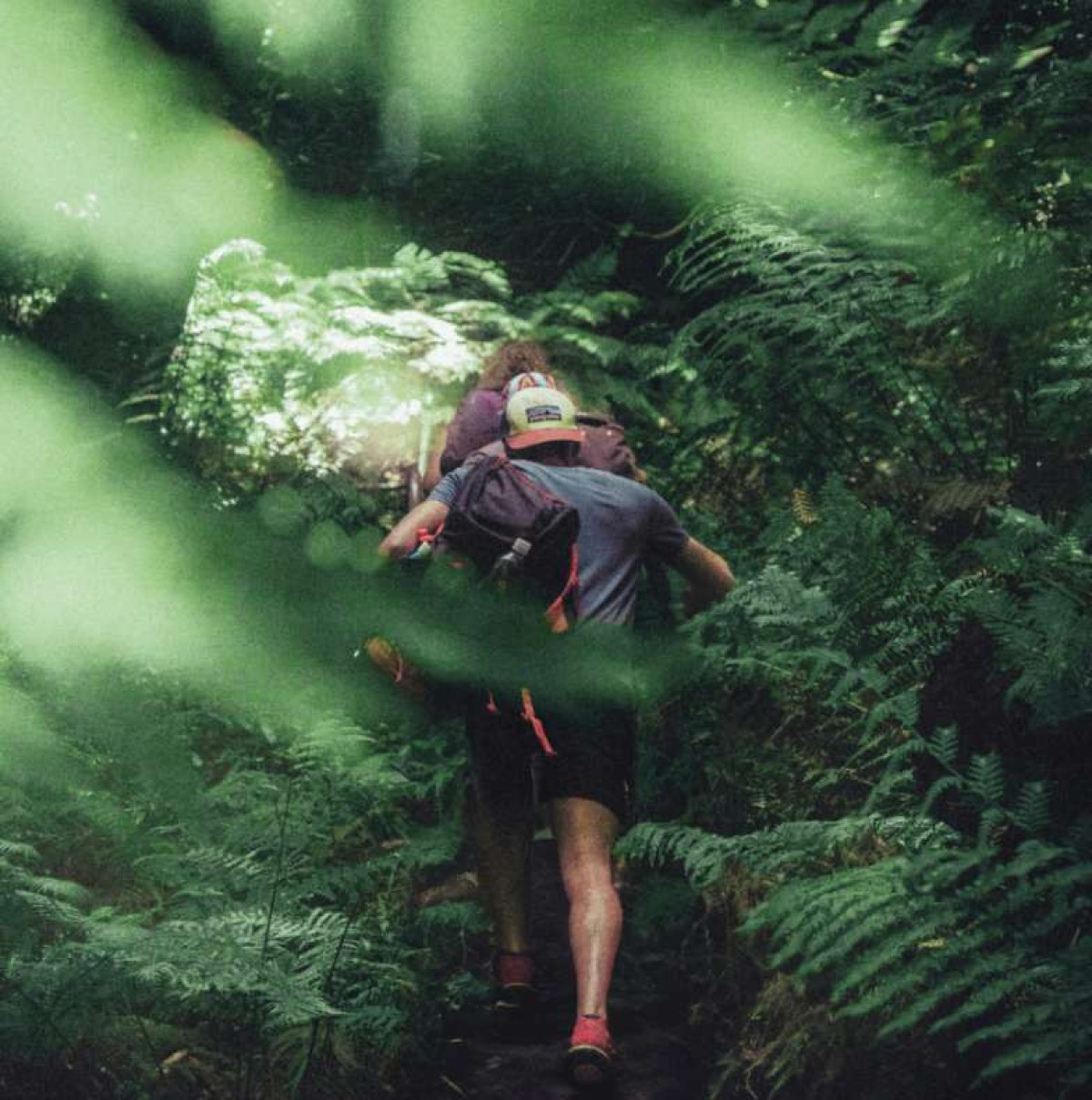 Hiking trail